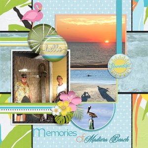 Memories-of-Madiera-Bch-SCD_BD2_TP3-copy.jpg