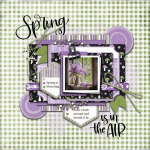 DLPatt_SpringIsInTheAir_web.jpg
