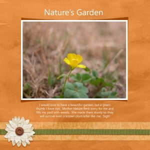Nature's Garden