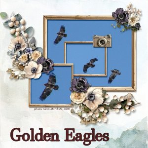 08-03-Golden Eagles small.jpg