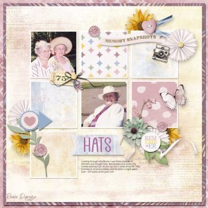 Snapshots