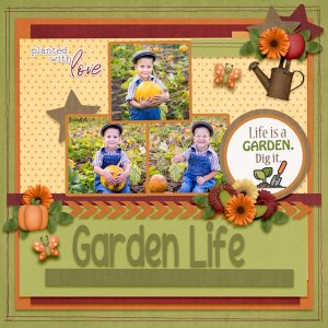 The Garden