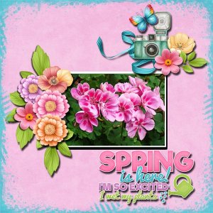 Spring Is Here