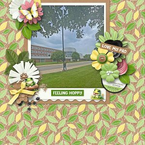 Summer on Campus