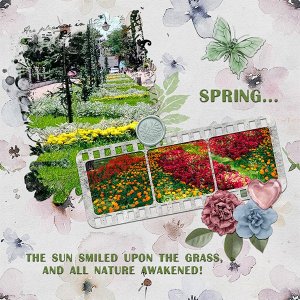 March Photography Challenge - Changing Seasons Gala.jpg