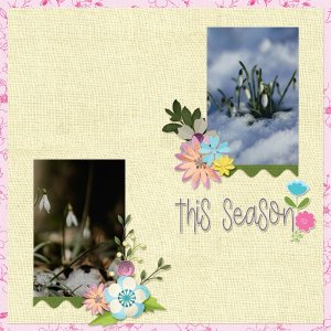 spring.jpg