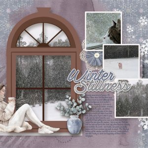 Snow Window