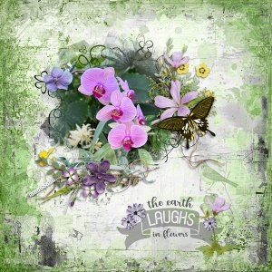 Spring Flowers