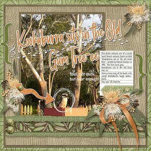 kookaburra-webcopy.jpg