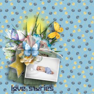 On Butterfly Wings