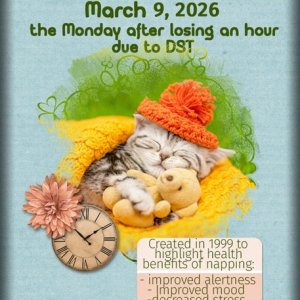 ATC 2026-019 National Napping Day