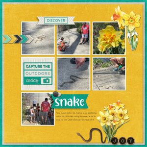 Wellfield Snake 4-14-24