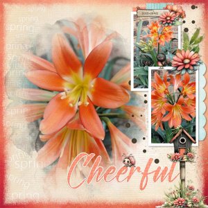 2025-09-02_Cheerful