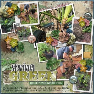DLPatt_SpringGreen_web.jpg
