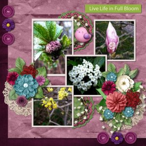SCR-MIMarch-temp05-SCR-GardenT,SCR-PPenny,SCR-LoveBlooms,SCR_AAP_mini.jpg