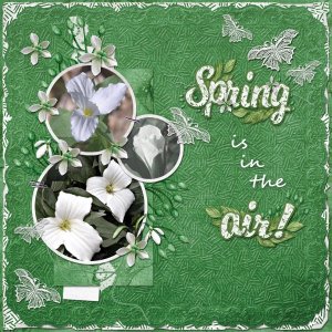 Spring is in the Air