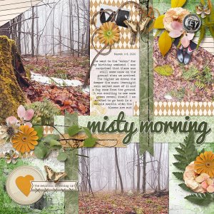 Misty-Morning.jpg