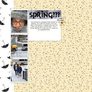 GS-March-2026-Photography-Challenge---Changing-Seasons.jpg