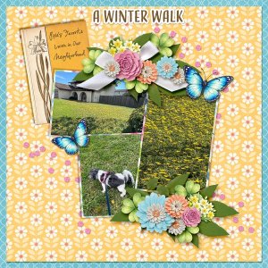 A Winter Walk