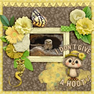 I-don't-give-a-hoot.jpg