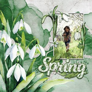 Spring