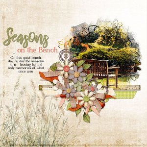 Seasons on the Bench