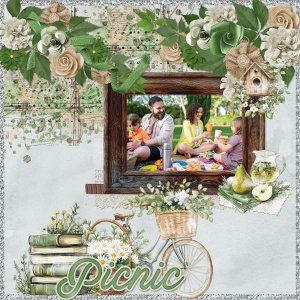 Picnic.jpg