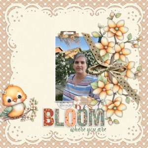 2023-09-20_Bloom