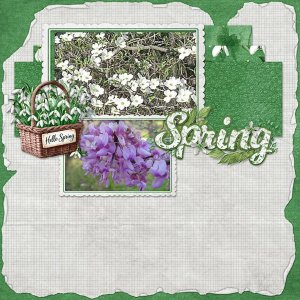 Spring