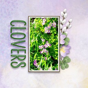 Clovers