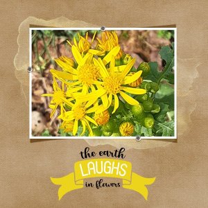 The Earth Laughs