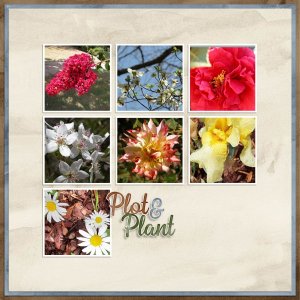 Plot & Plant