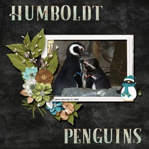 08-06-Humboldt Penguins small.jpg