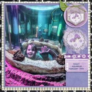 AQUARIUM-SCD-KIT-3-26---WEB.jpg