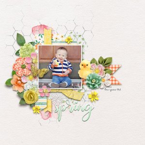 Spring-Jamie.jpg