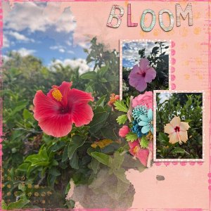 Bloom-web.jpg