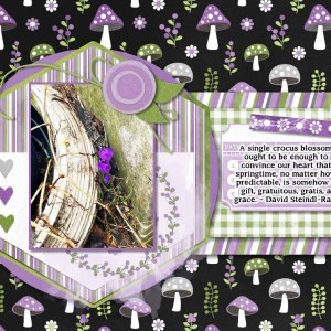 CARD Spring Crocus