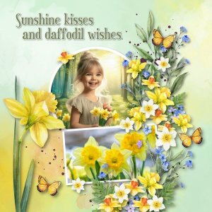 Daffodils
