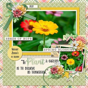 In Full Bloom