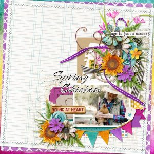 Spring Chicken