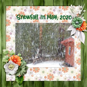 Snowfall-in-May.jpg