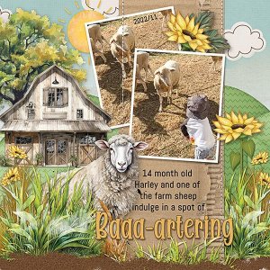 Baaaa-artering-copyweb.jpg