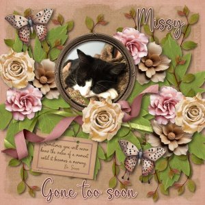 Missy