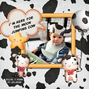 2026 01 24 Ellis Cow