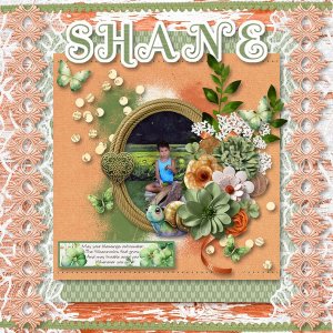 Shane