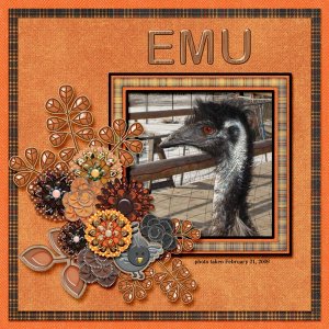 09-02-Emu small.jpg