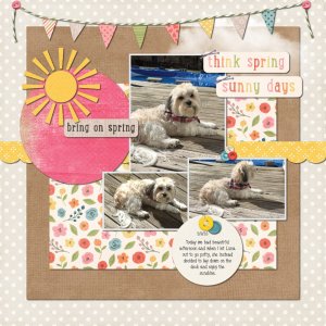 Luna Enjoys the Sun 3-9-26