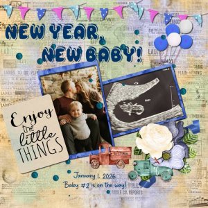 2026 01 01 New Year, New Baby
