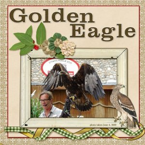 09-06-Golden Eagle small.jpg
