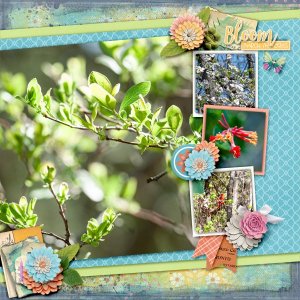 March-Memories-2026-web.jpg